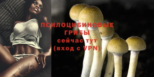 таблы Михайлов